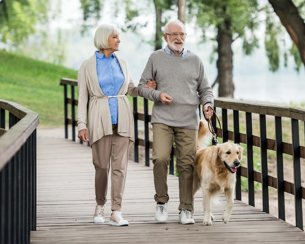 Smiling senior couple walking with golden retriever dog in park